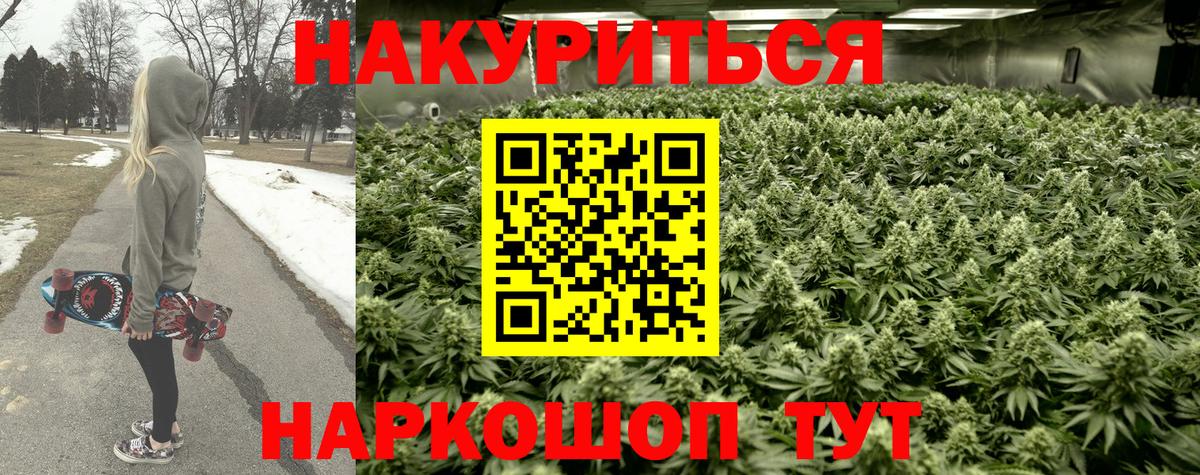 Шишки марихуана Amnesia Заринск